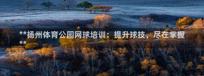 凯时kb88·中国官方网站：**扬州体育公园网球培训