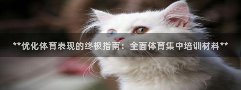 尊龙凯时取款一直支付中：**优化体育表现的终极指南：