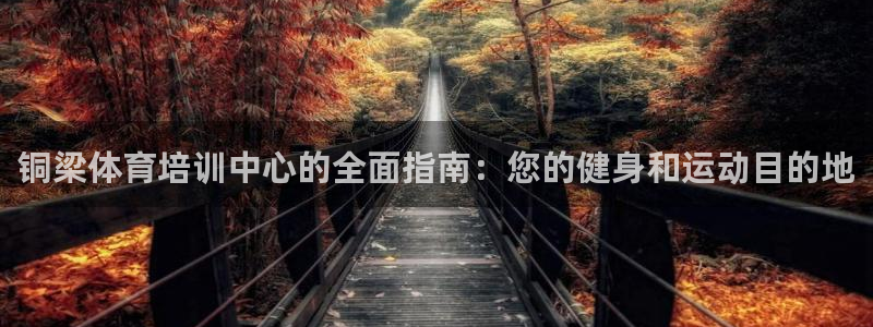尊龙官方网站最新版V9.3.06介绍：铜梁体育培训中