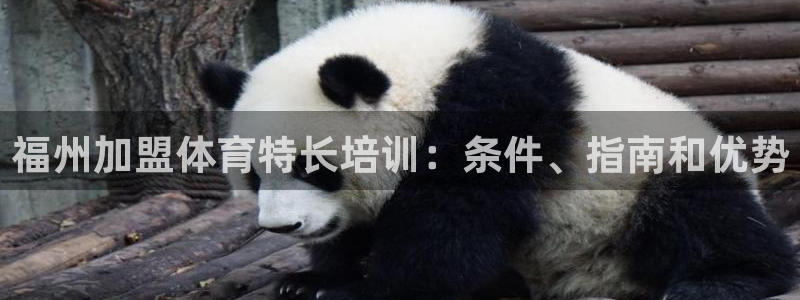 尊龙凯时人生就是博中国官网：福州加盟体育特长培训：条