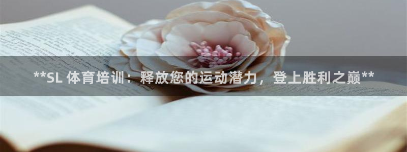 尊龙凯时只输不赢：**SL 体育培训：释放您的运动潜