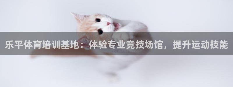 尊龙网站注册站注册：乐平体育培训基地：体验专业竞技场
