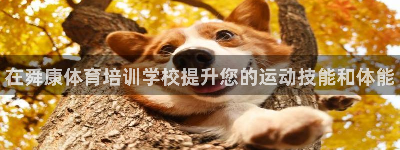 尊龙凯时平台信誉怎样：在舜康体育培训学校提升您的运动