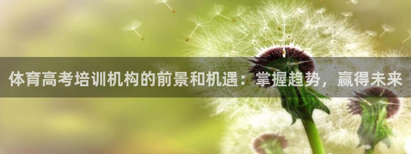 尊龙传奇英文怎么写：体育高考培训机构的前景和机遇：掌