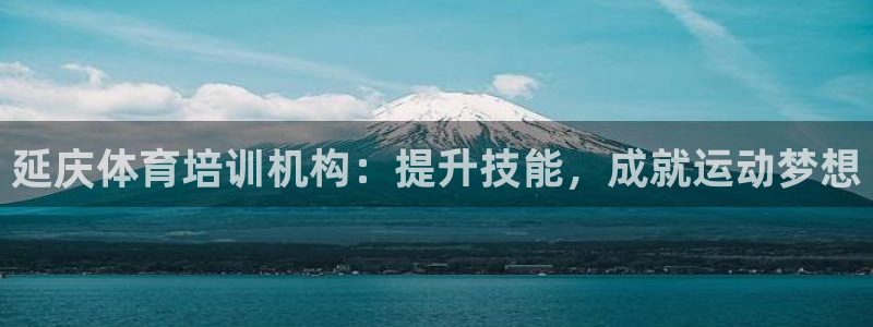 尊龙D88现金旧版：延庆体育培训机构：提升技能，成就