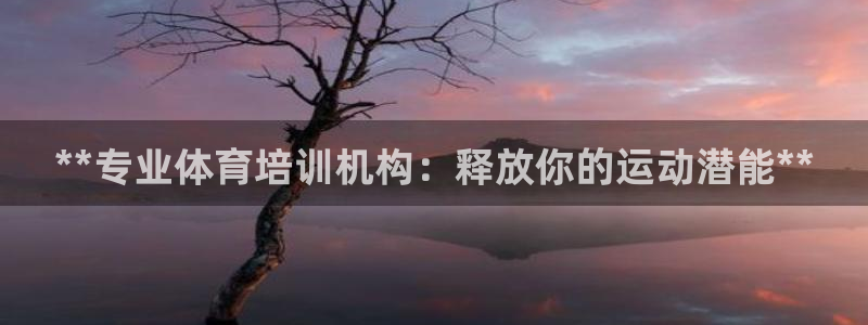 尊龙凯时 - 人生就是搏!：**专业体育培训机构：释