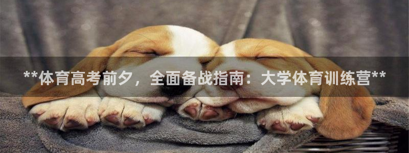 尊龙集团：**体育高考前夕，全面备战指南：大学体育训