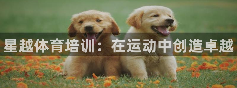 AG尊龙凯时注册：星越体育培训：在运动中创造卓越