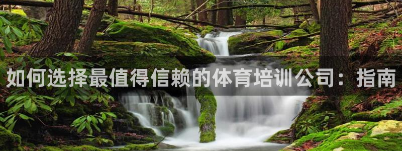 尊龙这个平台怎么样：如何选择最值得信赖的体育培训公司