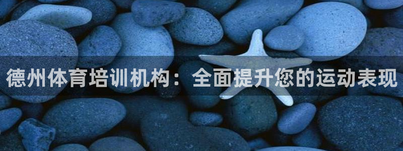 尊龙这个平台怎么样：德州体育培训机构：全面提升您的运