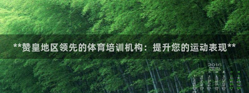 尊龙凯时人生就是搏技术实力：**赞皇地区领先的体育培