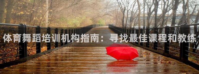 尊龙平台有谁玩过：体育舞蹈培训机构指南：寻找最佳课程