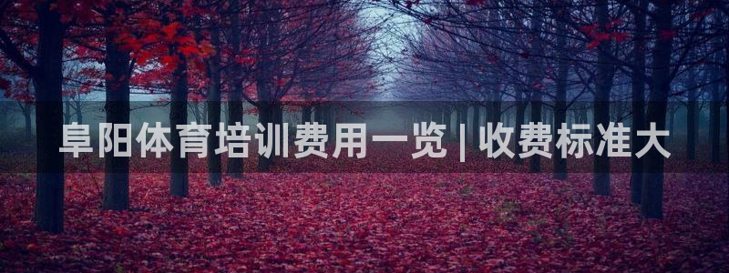 尊龙官方平台是正品吗：阜阳体育培训费用一览 | 收费