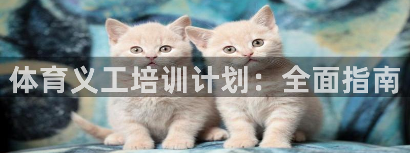 尊龙—人生就是博：体育义工培训计划：全面指南