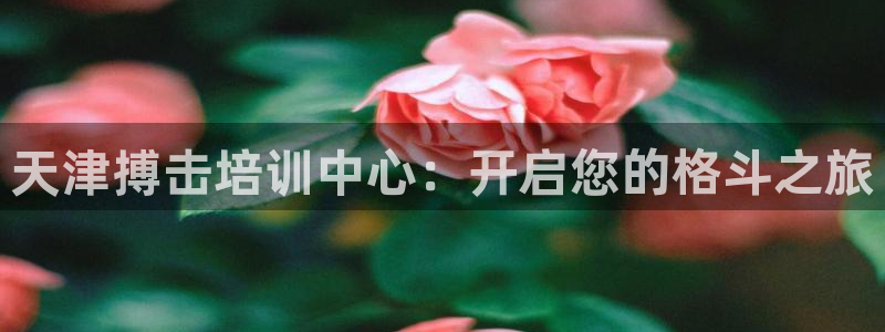 尊龙登录会员登录：天津搏击培训中心：开启您的格斗之旅