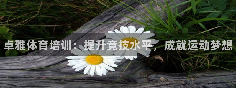 AG尊龙注册在线游戏：卓雅体育培训：提升竞技水平，成