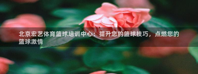 尊龙 am i blue：北京宏艺体育篮球培训中心：