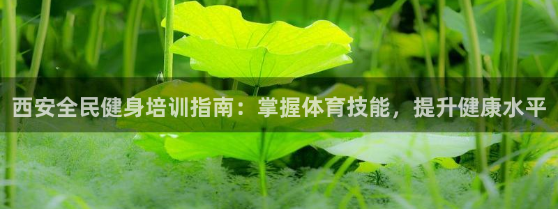 尊龙人生就要博旧版：西安全民健身培训指南：掌握体育技