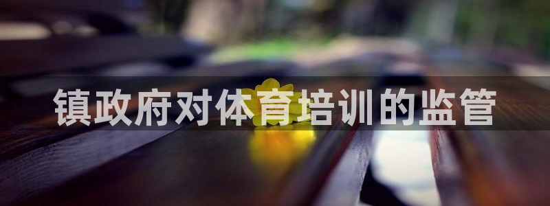 尊龙凯时网站网址：镇政府对体育培训的监管