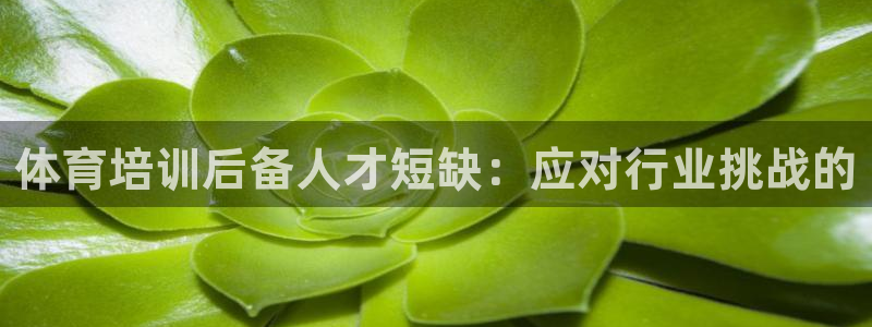 凯时尊龙app国际官方网站：体育培训后备人才短缺：应