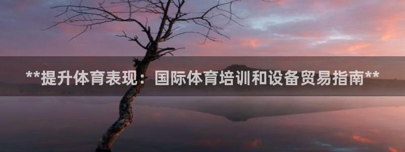 尊龙凯时取钱很慢：**提升体育表现：国际体育培训和设