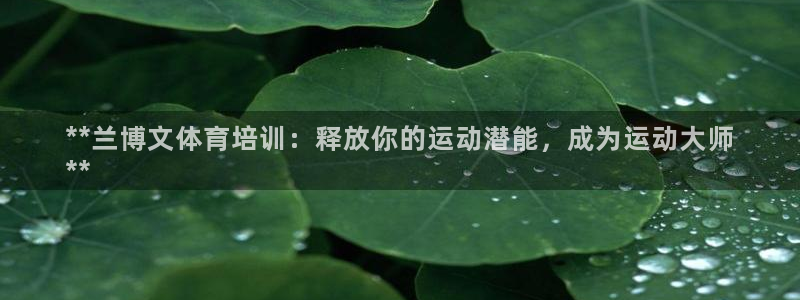 尊龙ag旗舰厅官网官方入口：**兰博文体育培训：释放