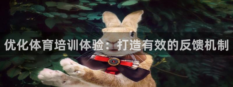 凯时平台app：优化体育培训体验：打造有效的反馈机制