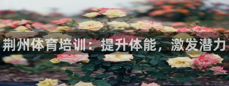 尊龙集团有限公司官网地址：荆州体育培训：提升体能，激