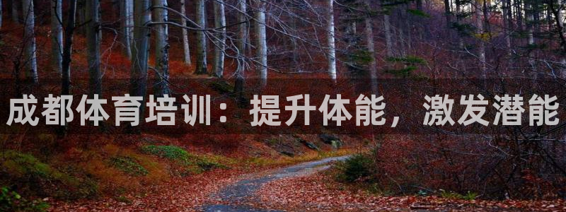 首页尊龙d88国际：成都体育培训：提升体能，激发潜能