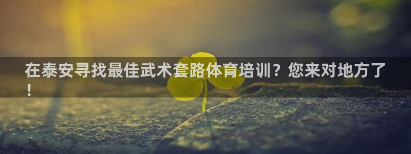 尊龙集团有限公司招聘：在泰安寻找最佳武术套路体育培训