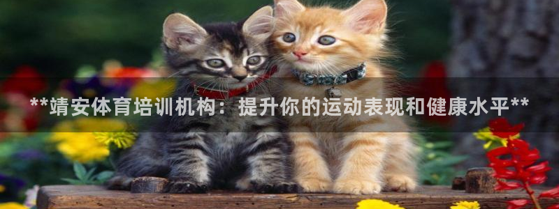 尊龙 5：**靖安体育培训机构：提升你的运动表现和健