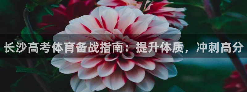 尊龙app下载官网：长沙高考体育备战指南：提升体质，