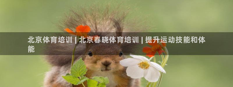 尊龙官方网站：北京体育培训 | 北京春晓体育培训 |