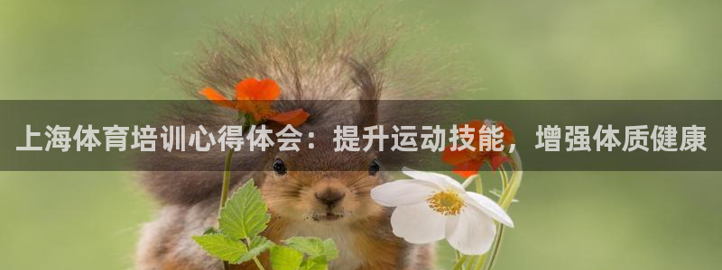 尊龙凯时充值不到账：上海体育培训心得体会：提升运动技