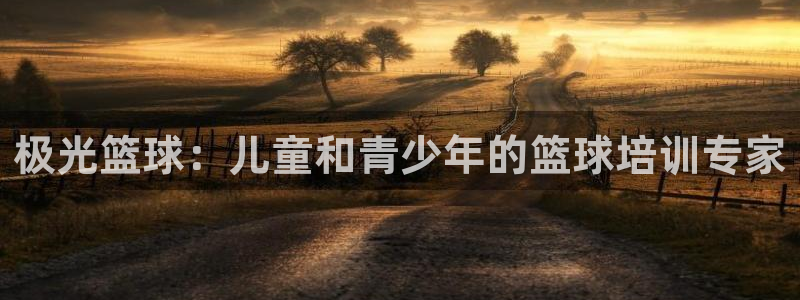 尊龙人生就是博管网：极光篮球：儿童和青少年的篮球培训