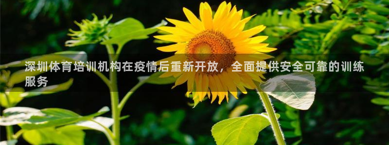 尊龙凯时返现：深圳体育培训机构在疫情后重新开放，全面
