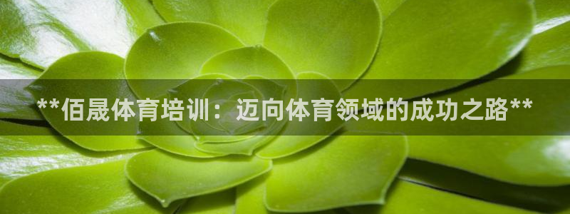 尊龙凯时品牌介绍：**佰晟体育培训：迈向体育领域的成