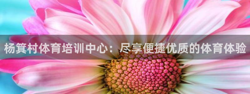 尊龙 贴吧：杨箕村体育培训中心：尽享便捷优质的体育体