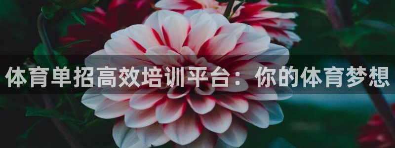 尊龙凯时论坛：体育单招高效培训平台：你的体育梦想