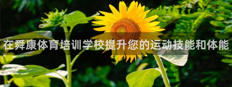 尊龙凯时官网平台：在舜康体育培训学校提升您的运动技能
