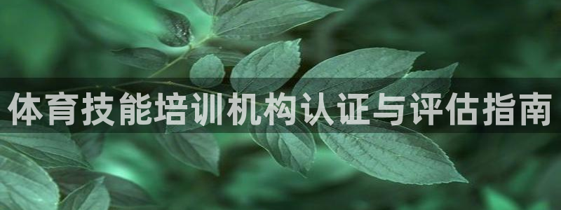 尊龙d88现金旧版本：体育技能培训机构认证与评估指南