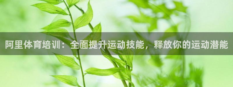 尊龙新版官网网页版：阿里体育培训：全面提升运动技能，