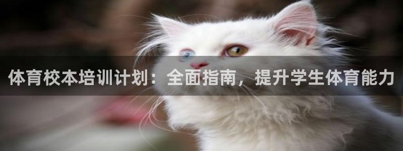 尊龙官网网页版：体育校本培训计划：全面指南，提升学生