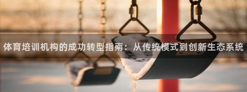 尊龙凯时人生就博官网：体育培训机构的成功转型指南：从