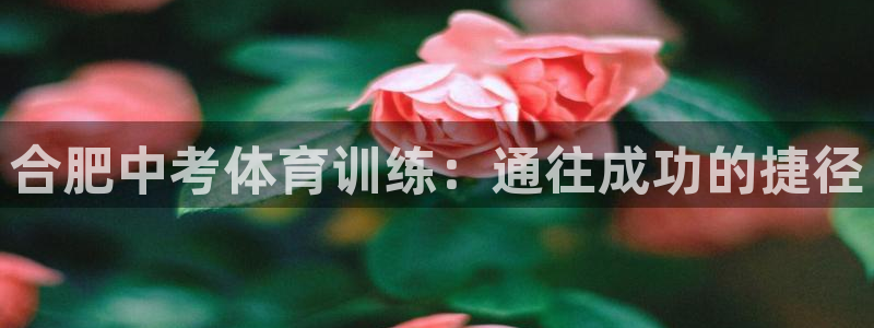 尊龙目前照片：合肥中考体育训练：通往成功的捷径