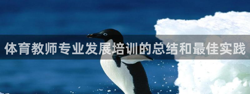 尊龙用现金一下可靠送38元：体育教师专业发展培训的总