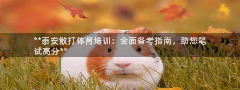 尊龙 10：**泰安散打体育培训：全面备考指南，助您