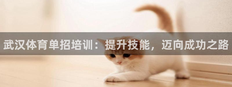 尊龙z6集团：武汉体育单招培训：提升技能，迈向成功之