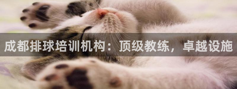 尊龙集团有限公司是国企吗：成都排球培训机构：顶级教练