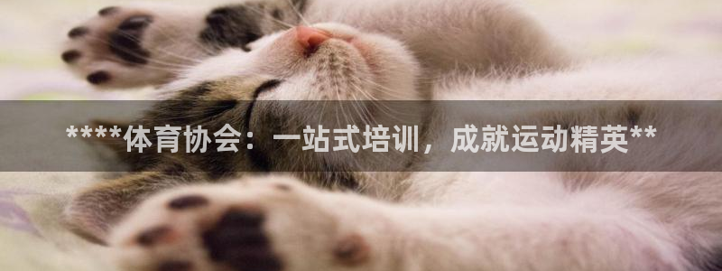 凯时官网手机版下载：****体育协会：一站式培训，成
